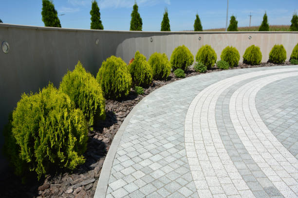 Best Commercial Driveway Paving in Mandeville, LA